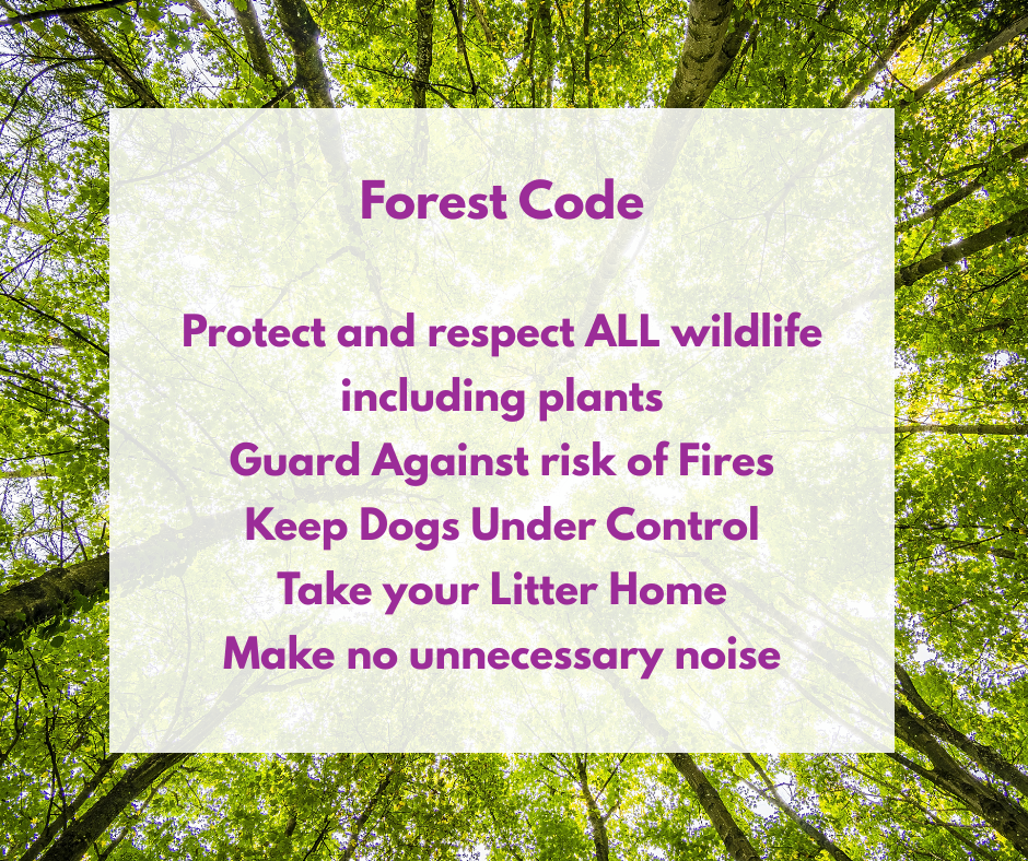 Forest code