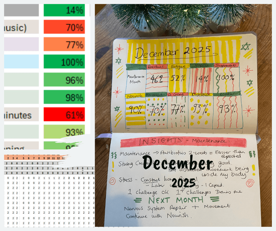 December 2025 selfcare tracking